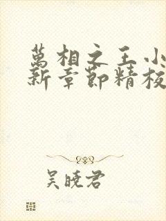 万相之王小说最新章节精校版封面