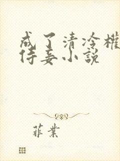 成了清冷权贵的侍妾小说