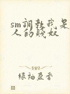 sm调教我是主人的贱奴