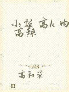 小说 高h 肉 高辣