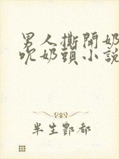 男人撕开奶罩揉吮奶头小说