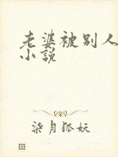 老婆被别人操了小说