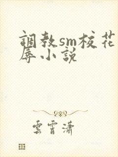调教sm校花羞辱小说封面