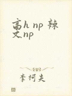 高h np 辣文np