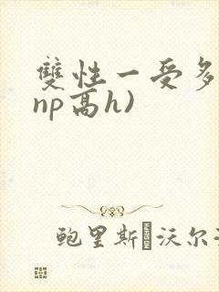 双性一受多攻(np高h)