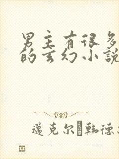 男主有很多身份的玄幻小说封面