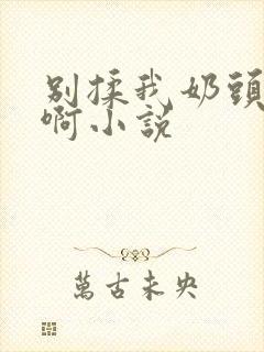 别揉我奶头嗯～啊小说