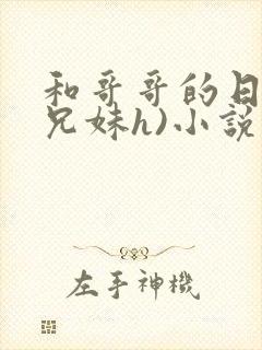 和哥哥的日夜(兄妹h)小说