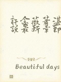 许念薇萧湛明小说最新章节免费阅读