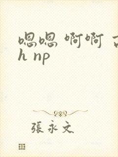 嗯嗯 啊啊 高h np