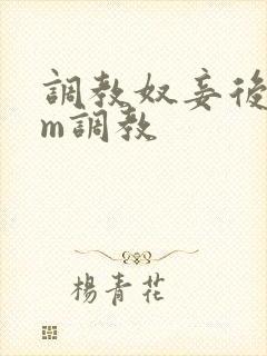 调教奴妾后宫sm调教