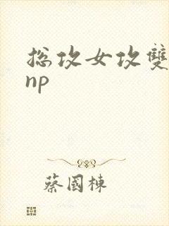 总攻女攻双性受np