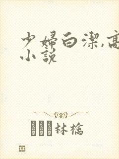 少妇白洁,高义小说