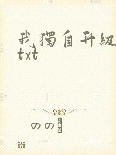 我独自升级原著txt