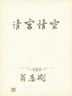 清宫情空封面
