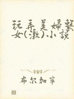 玩弄美妇系列熟女(激)小说封面