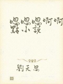 嗯嗯嗯啊啊轻一点小说