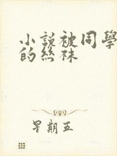 小说被同学凌辱的丝袜封面