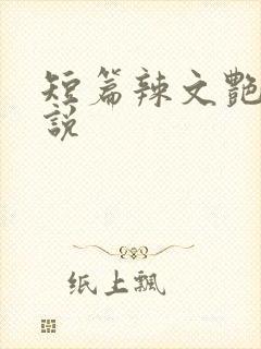 短篇辣文艳情小说封面