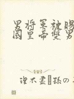 男将军被赐给敌国皇帝双男主