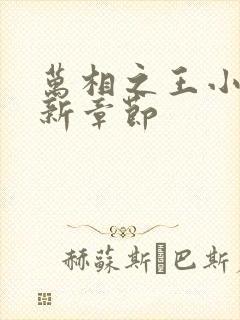 万相之王小说最新章节