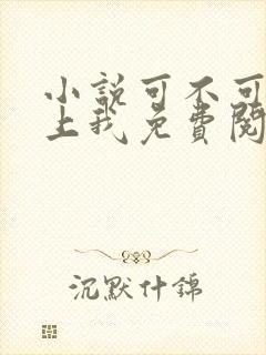 小说可不可以爱上我免费阅读封面