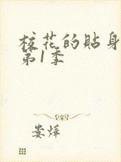 校花的贴身高手第1季