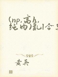 (np,高h,纯肉)乱l合集