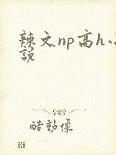 辣文np高h小说