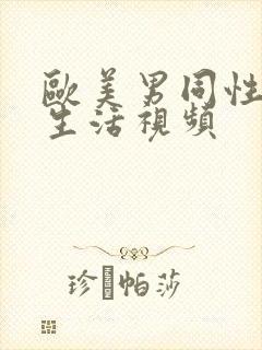 欧美男同性恋性生活视频