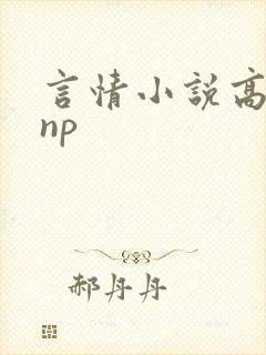 言情小说高h np