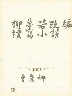 柳梦若改编同人续写小说封面