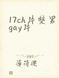 17ch片双男gay片