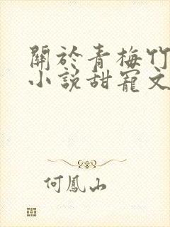 关于青梅竹马的小说甜宠文