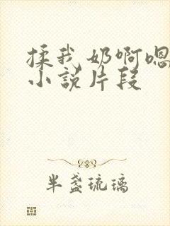 揉我奶啊嗯高潮小说片段