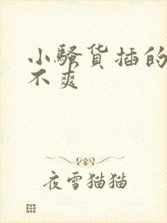 小骚货插的你爽不爽