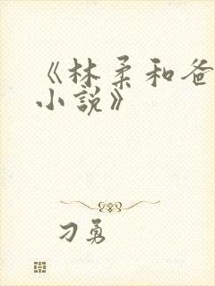 《林柔和爸爸的小说》