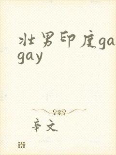 壮男印度gaygay
