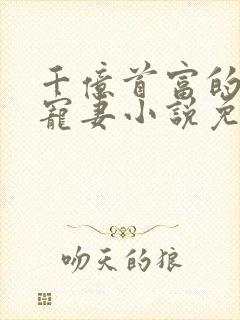 千亿首富的新欢宠妻小说免费阅读