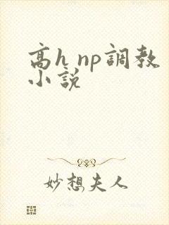 高h np调教小说封面