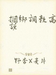 捆绑调教高h小说