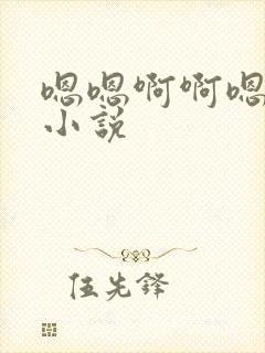 嗯嗯啊啊嗯啊啊小说