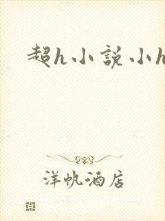 超h小说小h文
