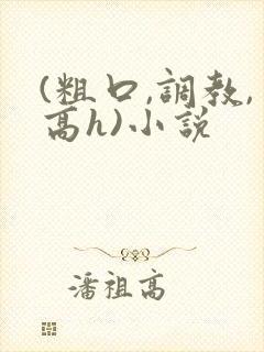 (粗口,调教,高h)小说