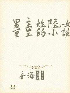 男主姓陆,女主重生的小说封面