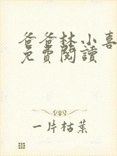 爸爸林小喜小说免费阅读