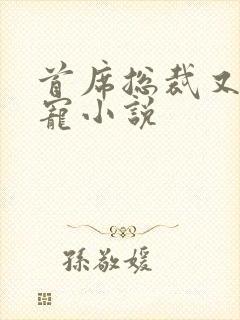 首席总裁又甜又宠小说