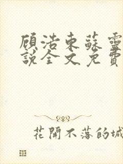 顾浩东苏灵柔小说全文免费阅读笔趣阁