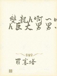 双龙h啊～嗯啊h巨大男男小说