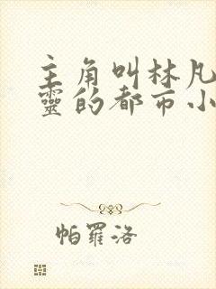 主角叫林凡赵清灵的都市小说